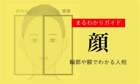 面相診断|顔の形や特徴・おでこ等でわかる人相【観相学】